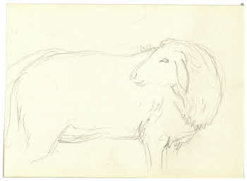 Visualizza l'immagine "FD D 183"